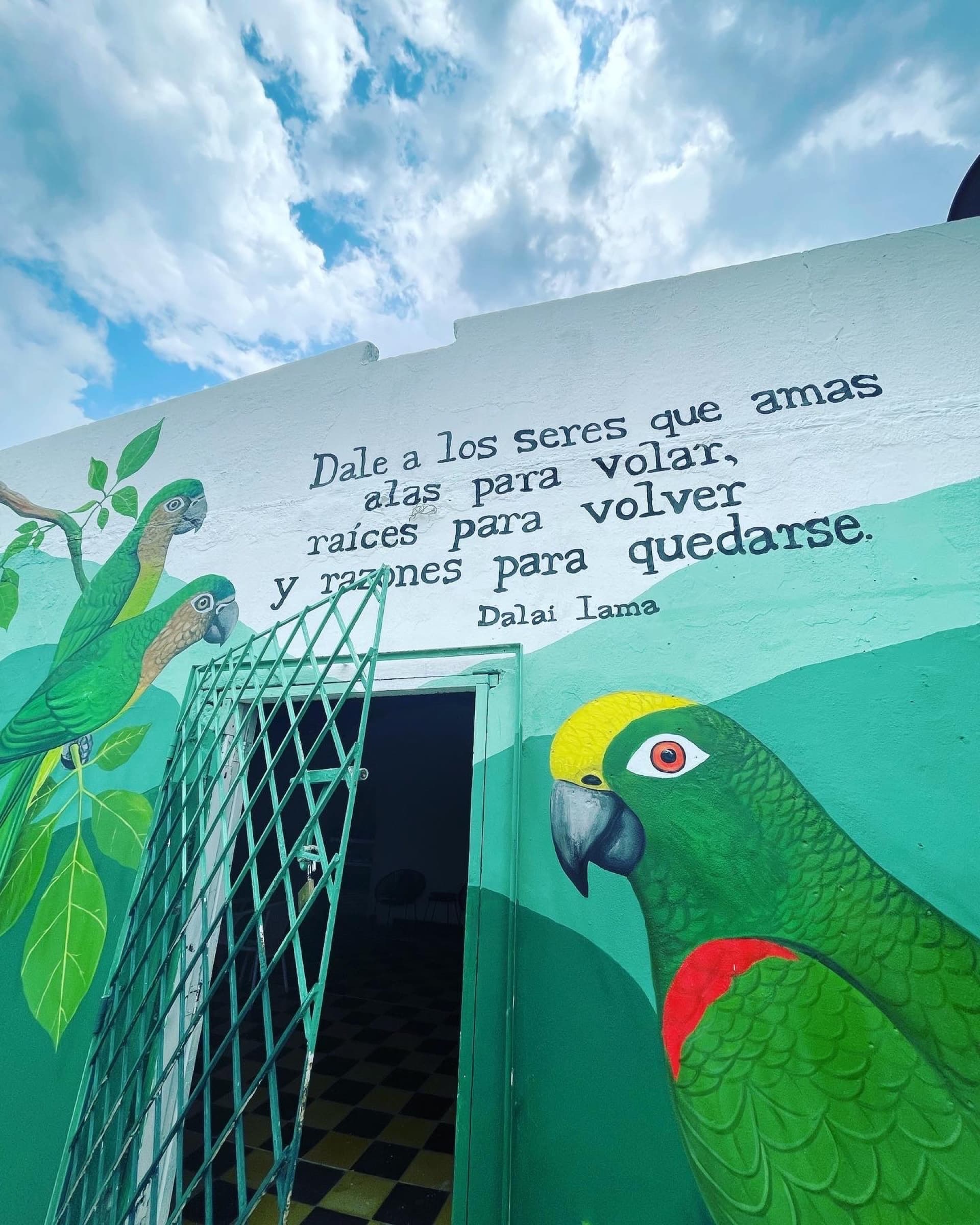 Mural en Los Loros con loros frentiamarillos pintados y una frase del Dalai Lama: «Dale a los seres que amas alas para volar, raíces para volver y razones para quedarse»