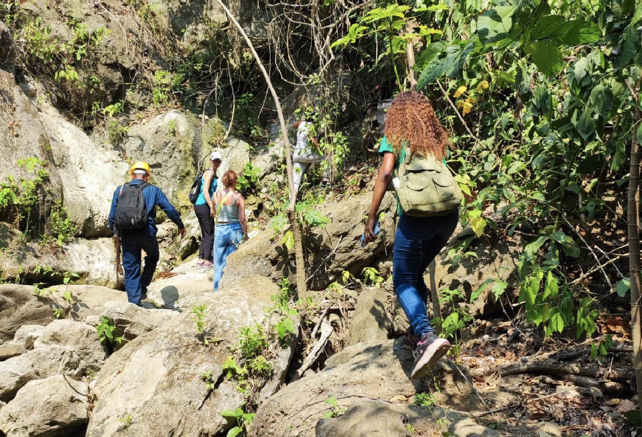 Monkey's Creek: Una Aventura Extrema de Senderismo en el Bosque Tropical