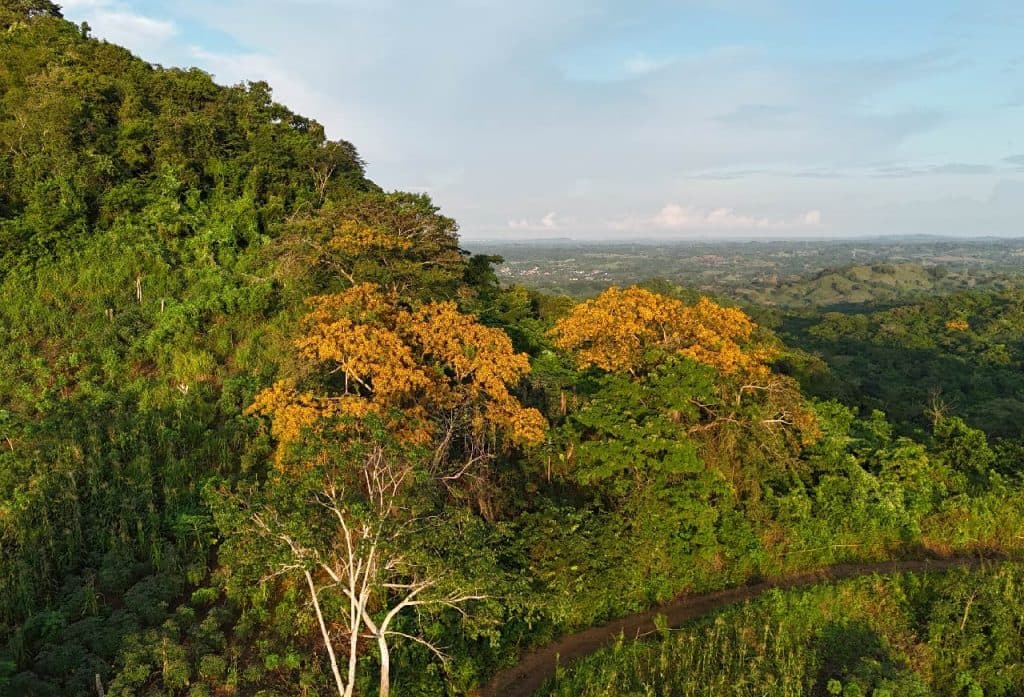 Expedición en ATV por reserva de fauna silvestre · 35 km de Cartagena